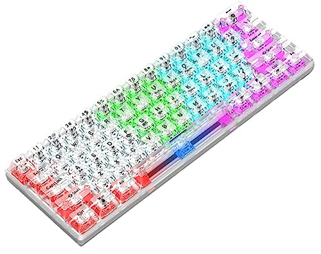 ZYMIADOU mekaniskt speltangentbord 61 tangenter kontorsdator heltransparent bakgrundsbelyst USB för PC bärbar dator spel kontor metall