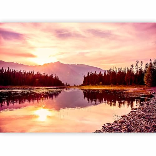 murando PREMIUM Papier peint Paysage 350x256 cm Décoration Murale XXL Poster Tableaux Muraux Tapisserie Photo Trompe l'oeil Montagnes Pré Foret Nature c-B-0631-a-a