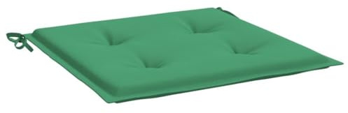GHVBNMF Juego de 2 cojines para silla de jardín, 50 x 50 cm, color verde