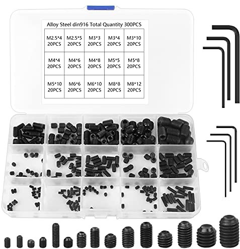 Vis Sans Tête Hexagonale, 300Pcs M2.5 M3 M4 M5 M6 M8, 15 Tailles Pointeau en Alliage d'Acier au Carbone avec 6 Clés Allen