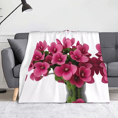 Rote Alpenveilchen bedruckte Mikrofaser-Decke, Sofa-Überwurf, Flanell, flauschig, weich, warm, Überwurf, Decken für Bett, Couch, Reisen, 152,4 x 127 cm