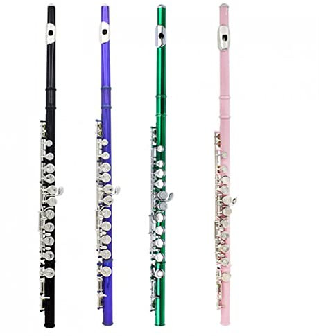 ZUZU Anfängerflöte Cupronickel C Tone 16 Geschlossene Löcher Konzertband Flöte Querflöte (Color : Pink)