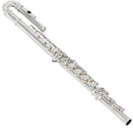 Flauto Do Foro Chiuso Flauto curvo speciale a doppio bocchino con accordatura a C a 16 fori flauto per strumenti in ottone rame bianco