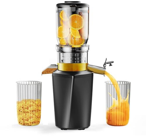 Fyenkfar ENTSAFTER GEMÜSE UND OBST TESTSIEGER - ENTSAFTER SLOW JUICER für mehr Vitamin und Enzyme, OBST und GEMÜSE in ihrer reinsten Form - für gesunde Ernährung und Familienfeiern (Schwarz）