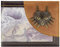 Majora's Mask Zelda Metal Emblem Ancient Map Wallet Bi-fold Card Holder, Brown