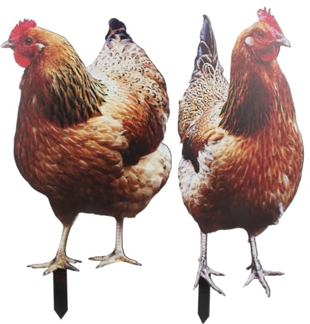 UPKOCH Lot de 2 piquets de poulet en acrylique pour jardin, décoration de clôture de poulet, plaque de pelouse, accessoire de jardin, motif poules, pour pelouse, style maison de campagne