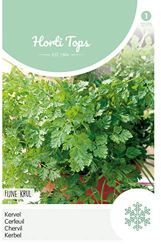 Hortitops 12170 Kerbel Krause (Kerbelsamen)
