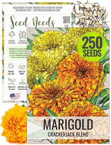 Seed Needs Crackerjack Marigold Seeds for Planting - Heirloom & Open Pollinated Annual Flowers - Plant a Butterfly Garden to Attract Pollinators (1 Pack)