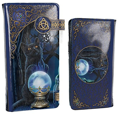 Nemesis Now B4005K8 Witches Apprentice Lisa Parker Embossed Purse 19cm Purple, PU