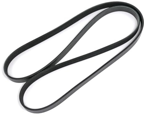 MEYLE 050 006 1698 Cinghia servizi Cinghia Poly-V Cinghia alternatore Cinghia dei servizi