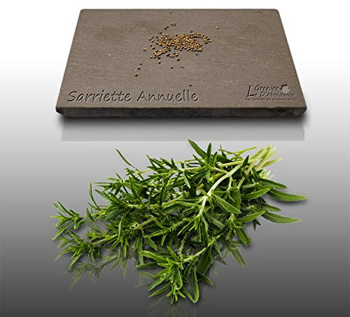 100 graines Aromatiques à semer - Le Grenier d'Abondance - SARRIETTE Annuelle - Satureja