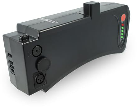 Vhbw Batteri kompatibel med Prophete Alu-City Didi-Thurau-utgåva, Comfort, Comfort Plus E-Bike elcykel (10,4 Ah, 36 V, Li-Ion)