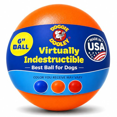 Doggie Dooley Virtually Indestructible Dog Ball - 6 Inch Hard Plastic Interactive Dog Toy for Large Breeds Over 15-50 lbs - Built for Herding & Push Play -Floats in Water, Made in USA -Colors May Vary