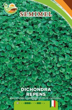 Dichondra Repens - Semi di Prato Resistente alla Siccità e All'Ombreggiamento 100g 1 confezione