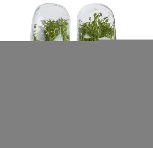 Kit de pots de germination, kit de pots de , kit de culture avec support et plateau, kit de bocaux à large ouverture en acier inoxydable, kit de pot de germination d'intérieur pour la