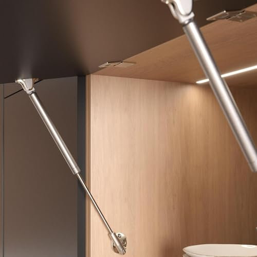 Pistone a Gas KRABY rialza Originale Italiana Ferramenta LIVENZA– Asta FRIZIONATA L.164, 244, 355, 480 per Ante Cucina e Living – Ammortizzatore per Mobili e Pensili Lift up spring (L.244 mm 60N)
