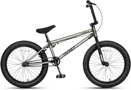 AVASTA 24 Zoll BMX Fahrräder Freestyle für Anfänger und Fortgeschrittene mit 2 Pegs Trick Cycling und Professional Riding, grau