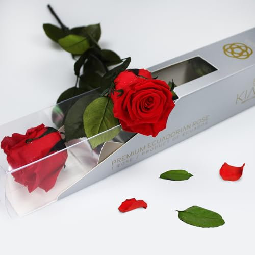 Rosa Roja Preservada de Ecuador, Rosa Natural con Tallo 35cm Regalo para Mujer, Ideas para Sant Jordy, Día de la Madre y Cumpleaños, Ramos y Detalles Románticos (Vibrant Red)