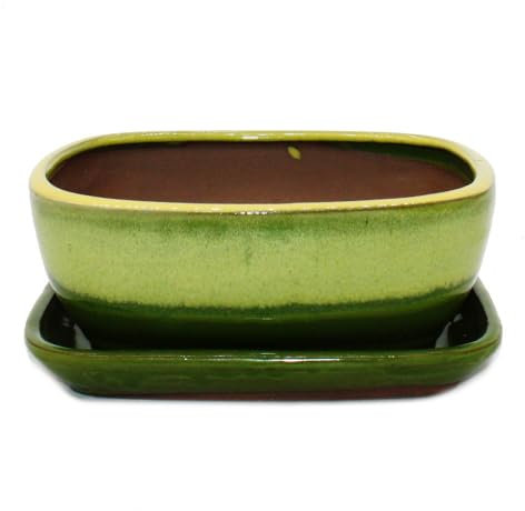 Bonsai-Schale mit Unterteller Gr. 3 - Gelb-Grün - rechteckig - Modell GB5 - L 21,5cm - B 17cm - H 8 cm