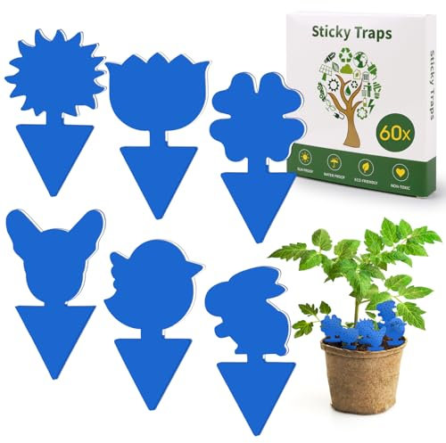 60 Pièces Anti Moucherons Interieur, Piege Moucherons Interieur,Attrape Moucheron,Sûr,sans Odeuranti Moucherons Interieur Cuisine Protection des Intérieur Plantes,Fleur Fruits