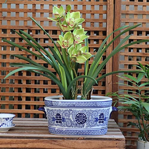 YQBUER Porcelain Chinese Decorative Planter Chinese Classical Specialty of China Floral Motif in Blue and White Vase Decoration Collection Ornaments (Color : Punch (Flowers))