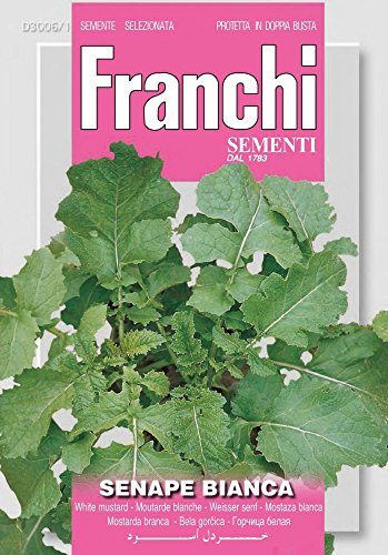 SEMENTI IN BUSTINA DI PIANTE OFFICINALI E AROMATICHE (SENAPE BIANCA)
