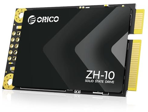 ORICO 512 GB mSATA SSD SATA III,Unità Interna Allo Stato Solido 3D NAND per Computer Portatili Ultrabook Desktop-ZH10