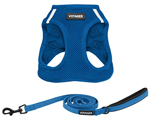 Voyager Step-in Air kattsele – alla väder nät kliv i väst sele för små och medelstora katter från Best Pet Supplies – set (kungsblå), XXXS