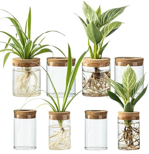 Glass Propagation Stations for Plants – Set of 4(2 Large & 2 Small) Hydroponic Vases for Plant Cuttings,Flower Arrangements, Home & Office Decor–Desktop Vases for Living Room, Bedroom, Wedding