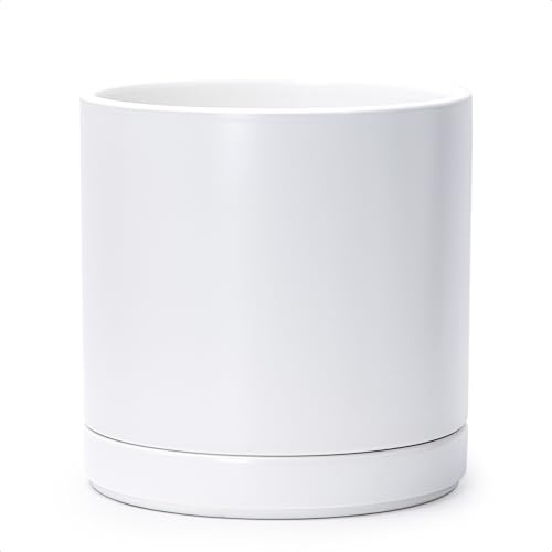 D'vine Dev 10 Inch Ceramic Planter Pot with Drainage Hole and Saucer, Indoor Cylinder Round Planter Pot, White, 94-O-L-1