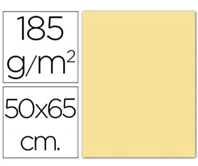 CANSON 200040219 25 ark papper