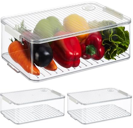 Relaxdays Kühlschrank Organizer, 3er Set, Kühlschrankeinsätze mit Deckel & Datum, HxBxT: 10,5 x 21 x 33 cm, transparent