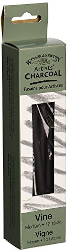 Winsor & Newton Artist Vine Charcoal Sticks, Medium, Box of 12 Sticks