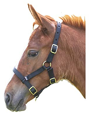 Shires Foal Nylon Headcollar Black