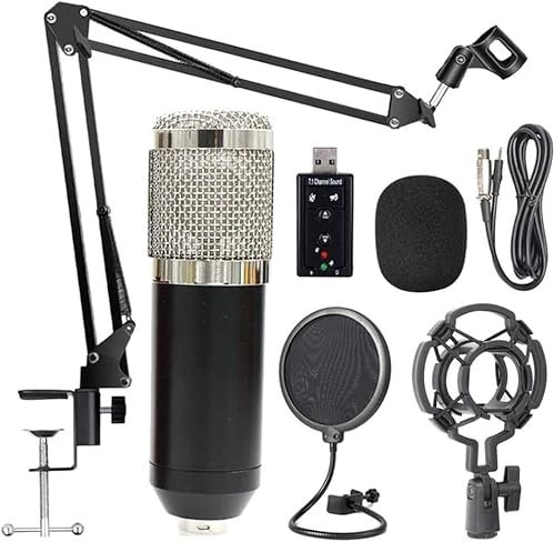 Upphängd mikrofonset Studio Live Streaming Broadcast Inspelningsmikrofonset (svart + silver) sångmikrofon