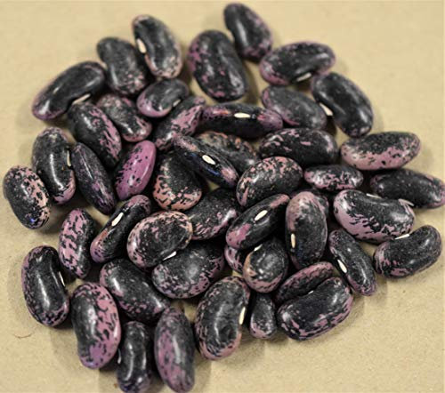 50 g Feuerbohne Prunkbohne Rankendebohne rote Bohne Samen Saatgut