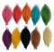RATREE SHOP 100 Stück gemischte Farben, 10,2 - 12,7 cm, Skelett-Blätter, Gummibaum, natürliche Sammelalben, Karten, Hochzeiten, Basteln, Blumensträuße, saisonale Geschenke große Blätter