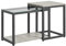 SoBuy FBT35-HG 2er Set Couchtisch Satztische Beistelltisch Sofatisch Kaffeetisch