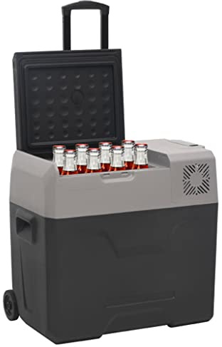 Tomostar Glacière Électrique, Glacière à Compression Mini Réfrigérateur de Voiture Camping avec roue et poignée noir et gris 50 L polypropylène