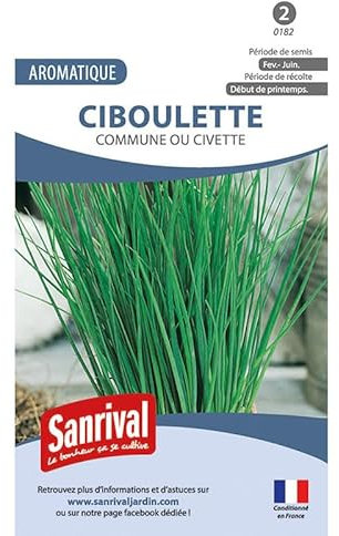 Graines Ciboulette Civette