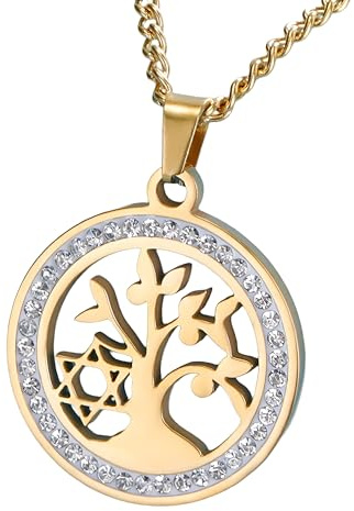 NBYGSC Davidsstjärna Halsband för kvinnor och män, 925 sterling silver zirkon Davidsstjärna halsband Hexagram Runt ihåligt hänge, judisk stjärna halsband kvinnor, Davidsstjärna halsband för män