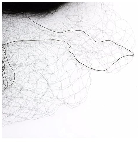 XIUsheUA Red de Nailon de 1,5 cm for huertos, Jardines, Parques, protección contra Aves, árboles, Cultivos, Plantas y cría agrícola. para Jardín, Cultivos(6x2m)