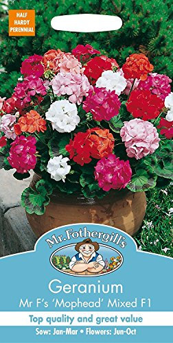 Mr Fothergill's Geranium Mr F's Mophead Mixed F1
