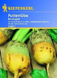 Rübensamen - Futterrüben Eckdogelb, 15 g von Kiepenkerl