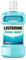 Listerine Antiseptic Mouthwash Coolmint 250ml