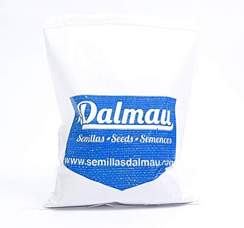 Semillas de Césped Talud - 1 kg