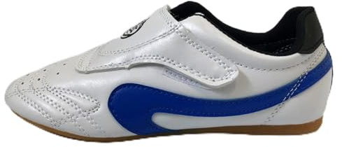 Genérico Zapatos De Taekwondo, Unisex Boxeo Kung Fu Tai Chi Deporte Gimnasia for Niños Adultos(Blue,39 EU)