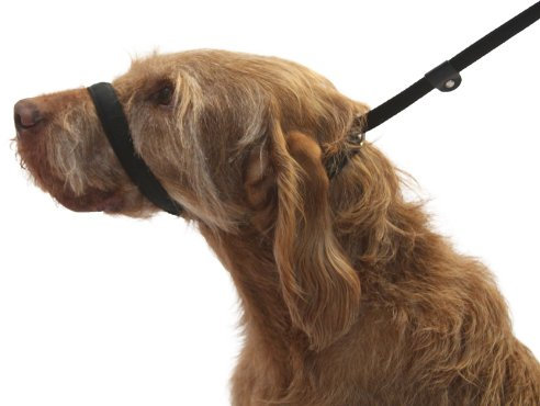 UniWalker Figure of 8 Training Lead for dogs that pull. With collar strap included. 3 leads in 1. Black