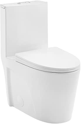 St. Tropez One Piece Elongated Toilet Dual Vortex Flush 1.1/1.6 gpf with 10 Rough In