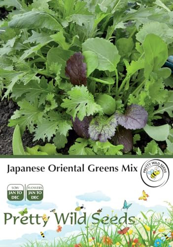 Japanese Oriental Greens Mix Seeds in Pictorial Packet - 2g